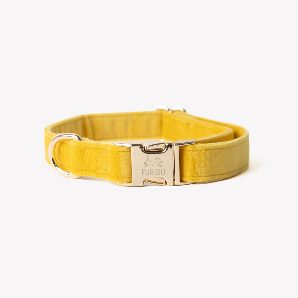 Yellow velvet dog collar