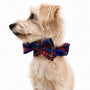 "Bunchie" Bow Scrunchie Collar, photo 6