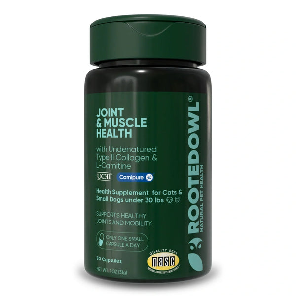 Cápsulas para la salud articular y muscular con colágeno UC-II y L-carnitina para gato y perro pequeño, foto 1