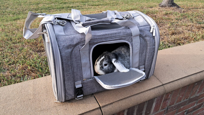 Mochila transportadora horizontal para mascotas Monterey, foto 39