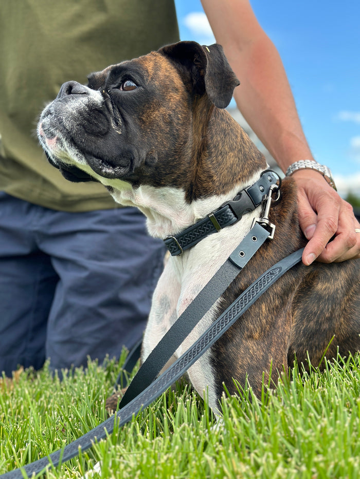 Correa de piel Celtic Sport para perro, foto 12