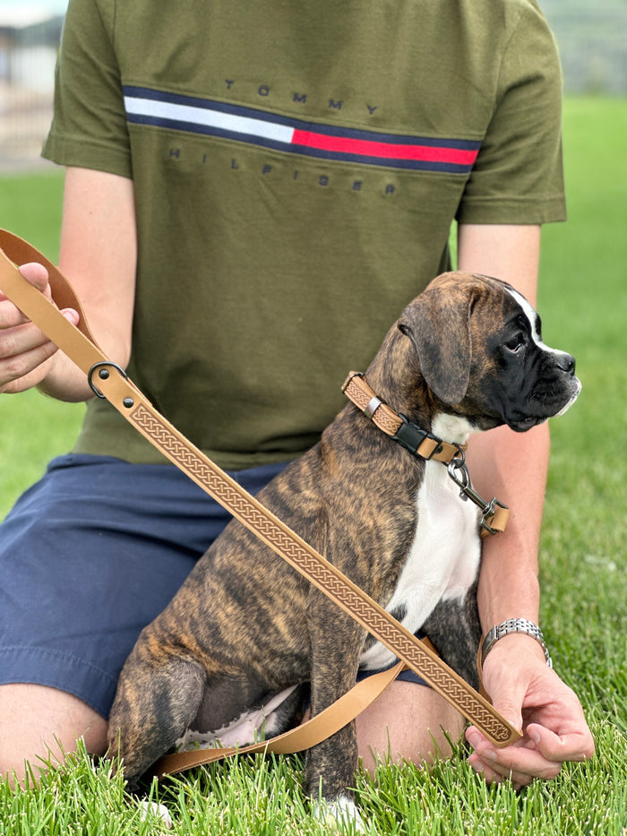 Correa de piel Celtic Sport para perro, foto 10