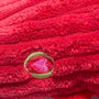 McCraken Lobsta Knottie, juguete de peluche para perro, foto 7