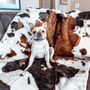 PupProtector Waterproof Throw Blanket, Brown Faux Cowhide, photo 8