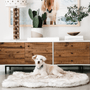 PupRug Curve Faux Fur Orthopedic Dog Bed, White with Brown Accents, photo 11