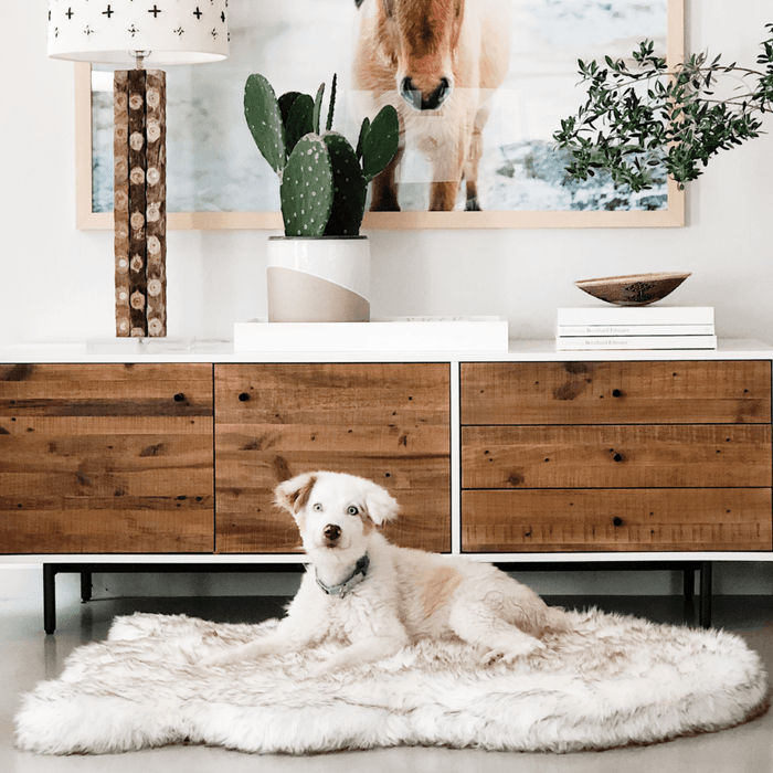 PupRug Curve Faux Fur Orthopedic Dog Bed, White with Brown Accents, photo 11