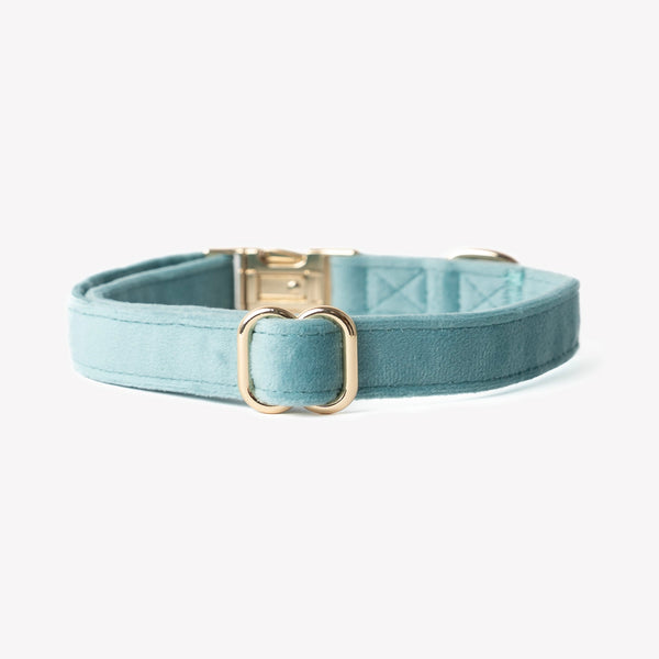 Blue velvet dog collar, clip and D-ring