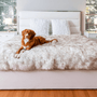 Manta impermeable PupProtector, blanco con detalles marrones, foto 11