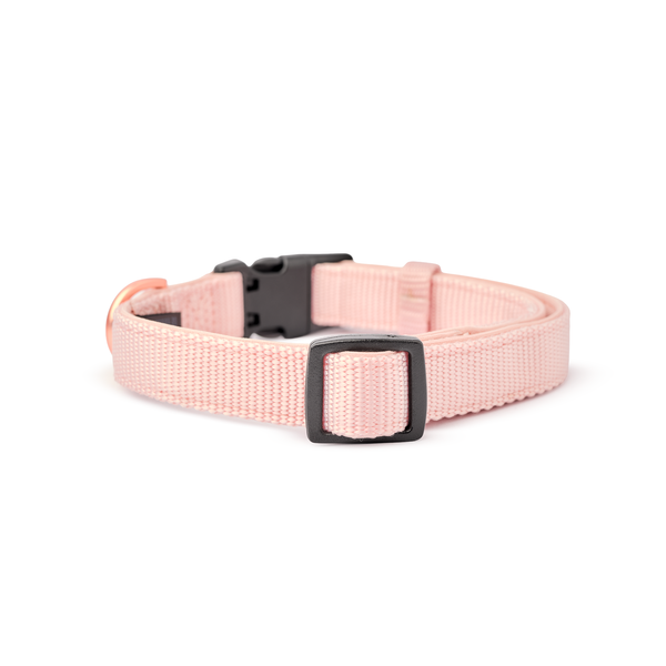 Blush City Padded Dog Collar, photo 2