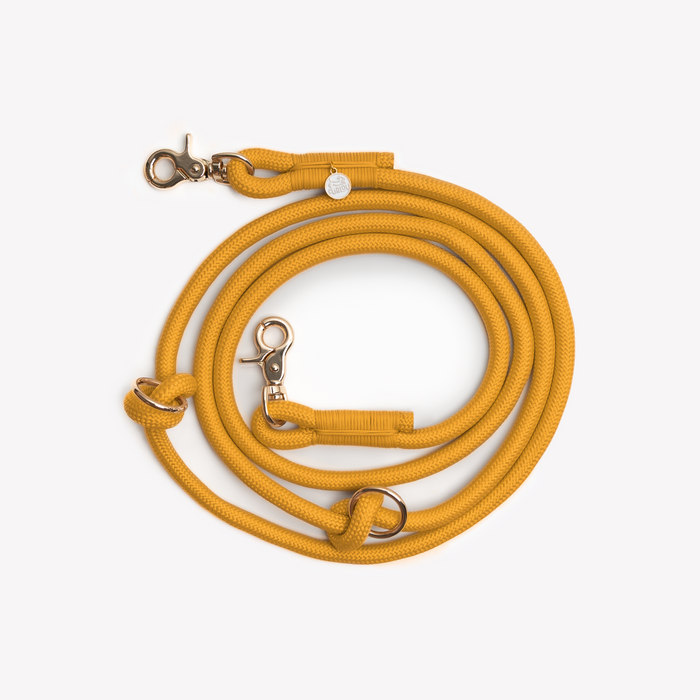 Yellow hands-free braided leash, coiled