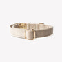 Collar de terciopelo para perro, arena, broche y argolla en D