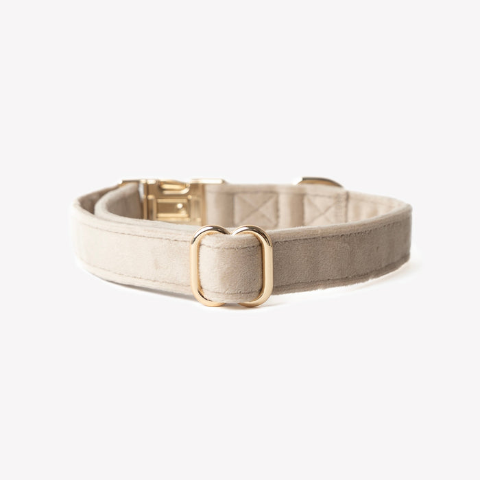 Collar de terciopelo para perro, arena, broche y argolla en D