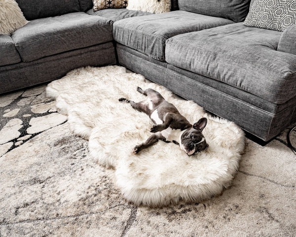 Cama larga PupRug Runner de espuma viscoelástica para perro, blanco con detalles marrones, foto 2