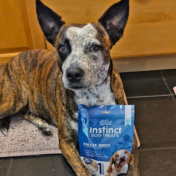 Freeze-Dried Turkey Liver Dog Treats, photo 2