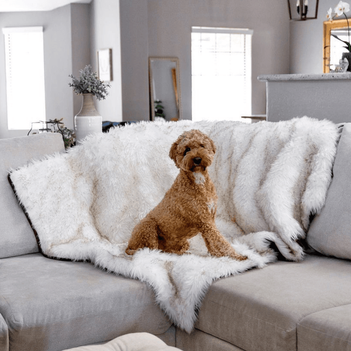 Manta impermeable PupProtector, blanco con detalles marrones, foto 8
