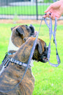 Arnés tipo chaleco de nailon para perro, foto 4