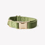 Green velvet dog collar