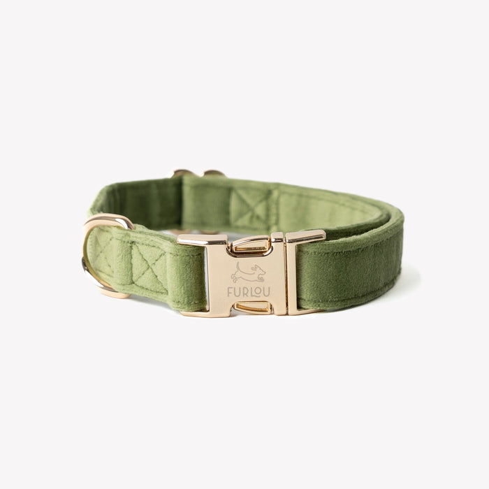 Green velvet dog collar