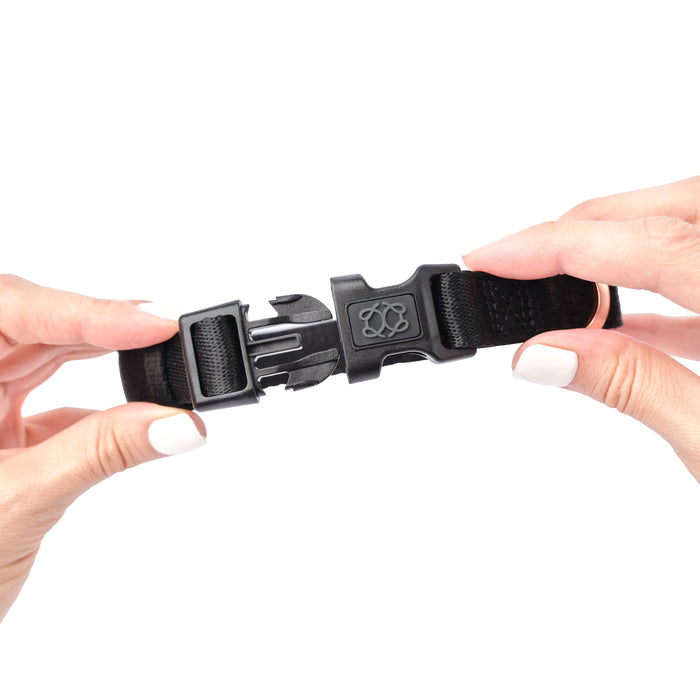 Black City Padded Dog Collar, photo 3