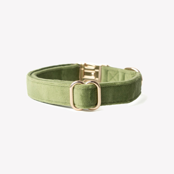 Green velvet dog collar, clip and D-ring
