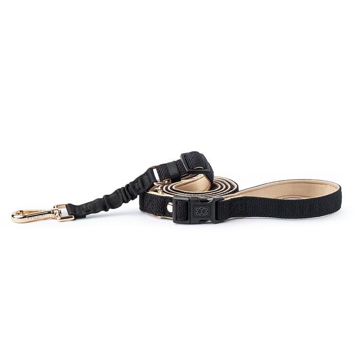 Crosby City Bungee Dog Leash, photo 6