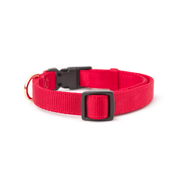 Collar acolchado City para perro, rojo icónico, foto 3