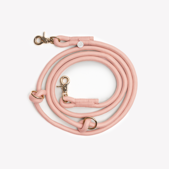 Powder Rose hands-free braided leash, coiled