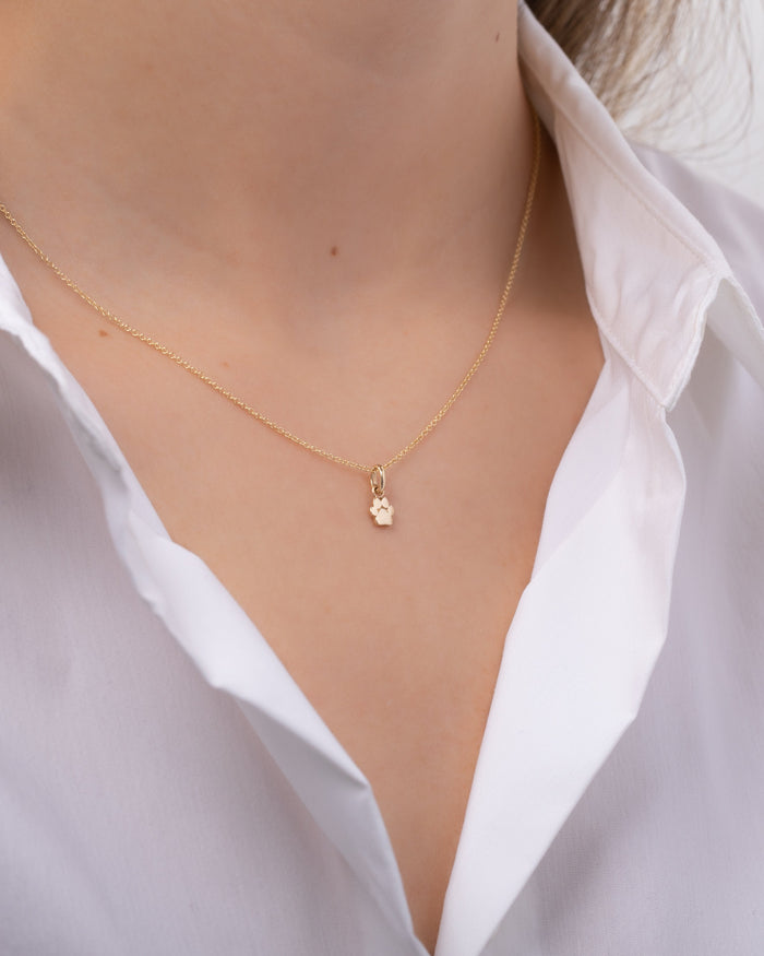 14K Gold Paw Print Necklace, photo 3