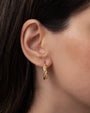 Aretes de aro de cordón torcido en oro de 14K, foto 3