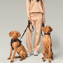 Rockstar City Bungee Dog Leash, photo 7