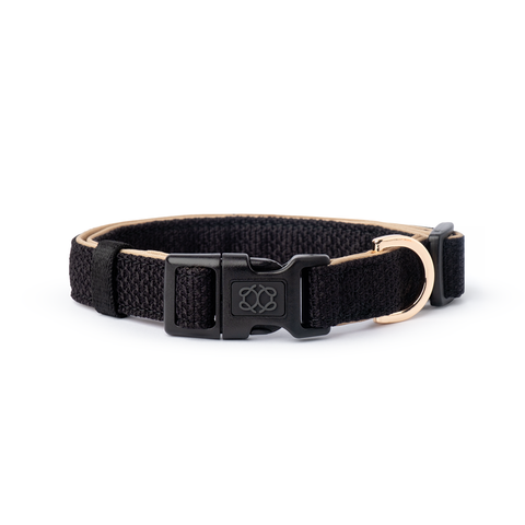 Crosby City Padded Dog Collar