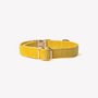 Collar de terciopelo para perro, amarillo, broche y argolla en D