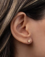 Arete de botón de trébol diminuto en oro de 14K, foto 3