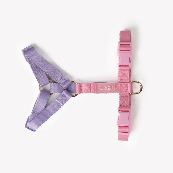 Lavender and Pink strap dog harness laid flat