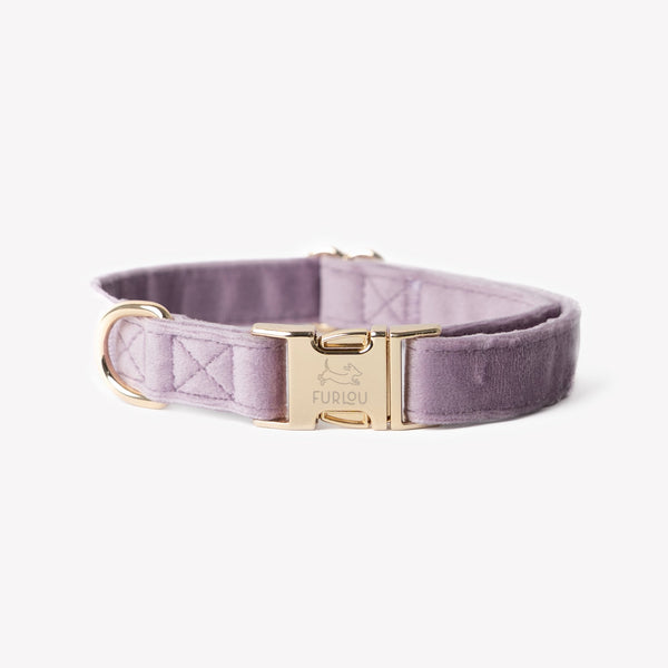 Lilac velvet dog collar