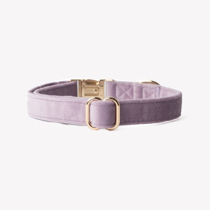 Lilac velvet dog collar, clip and D-ring