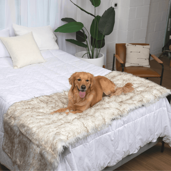 Piecera impermeable PupProtector, blanco con detalles marrones, foto 2