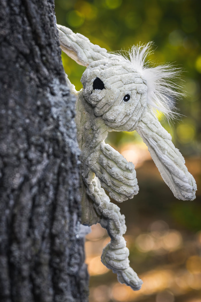Bobbi Bunny HuggleFlatties Plush Dog Toy, photo 8