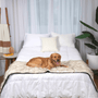 Piecera impermeable PupProtector, blanco con detalles marrones, foto 3