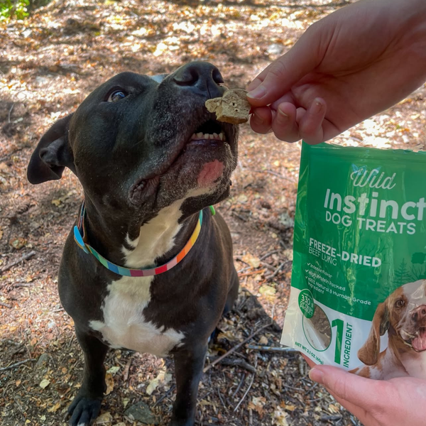 Freeze-Dried Beef Lung Dog Treats, photo 2