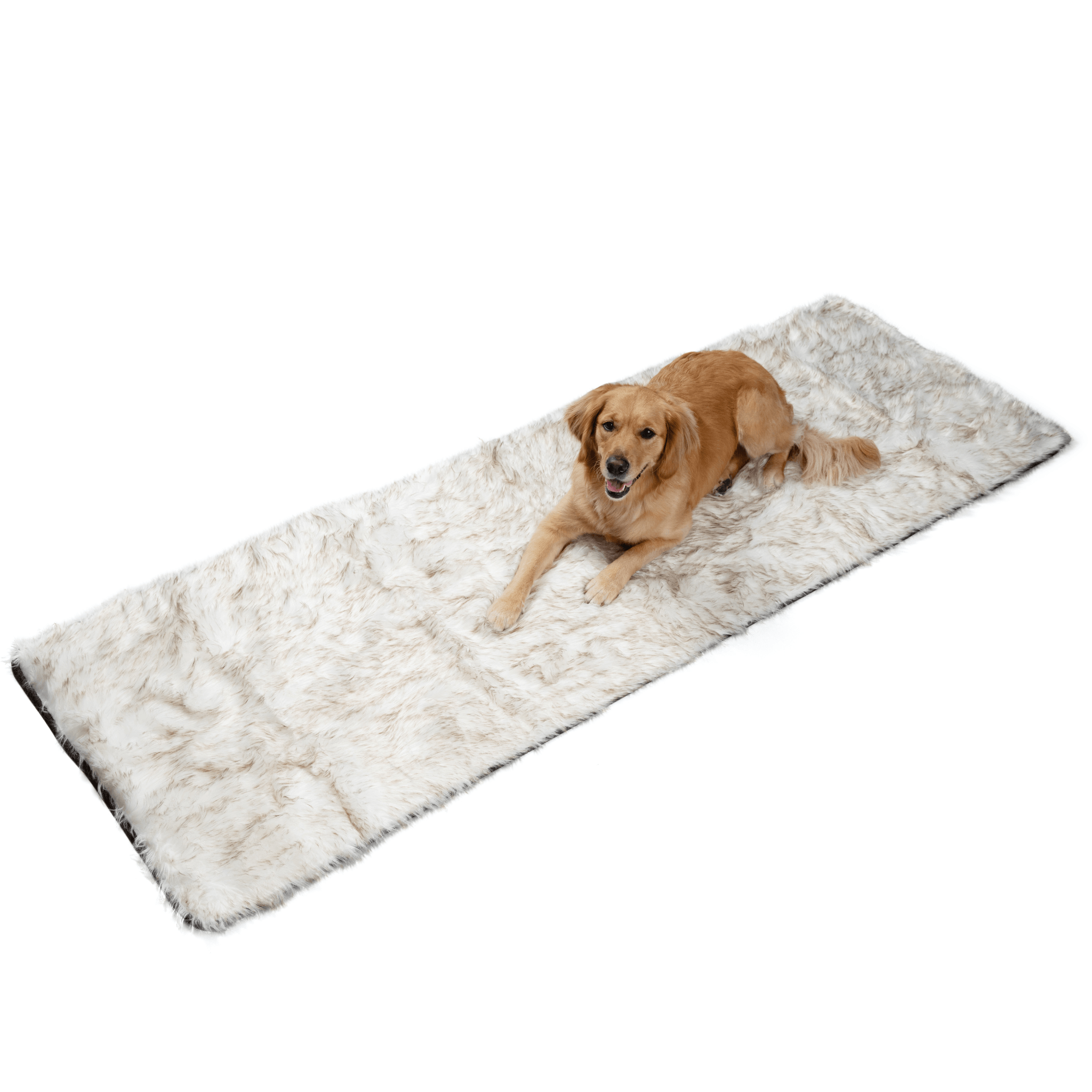Piecera impermeable PupProtector, blanco con detalles marrones