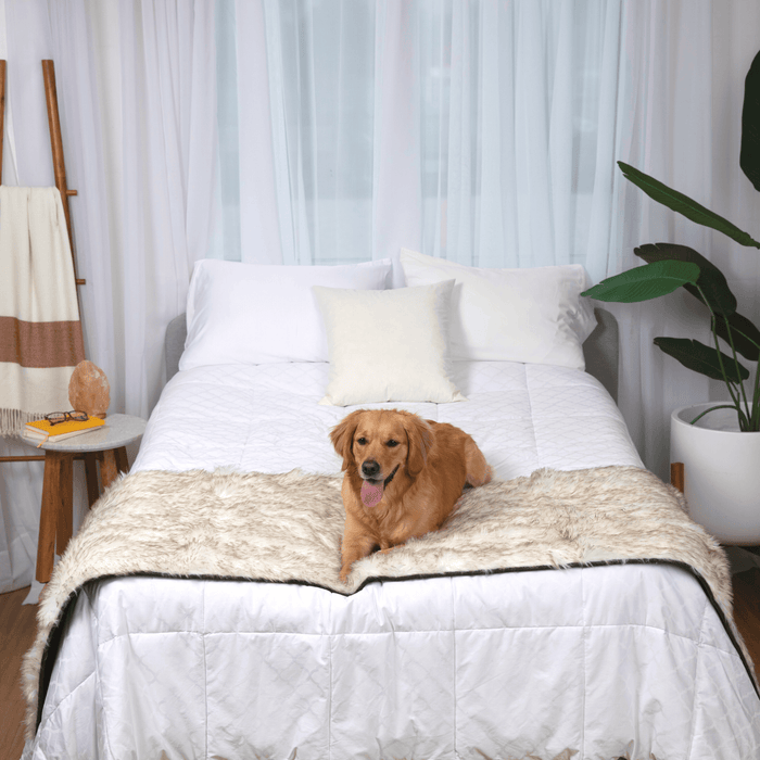 Piecera impermeable PupProtector, blanco con detalles marrones, foto 7