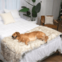 Piecera impermeable PupProtector, blanco con detalles marrones, foto 5