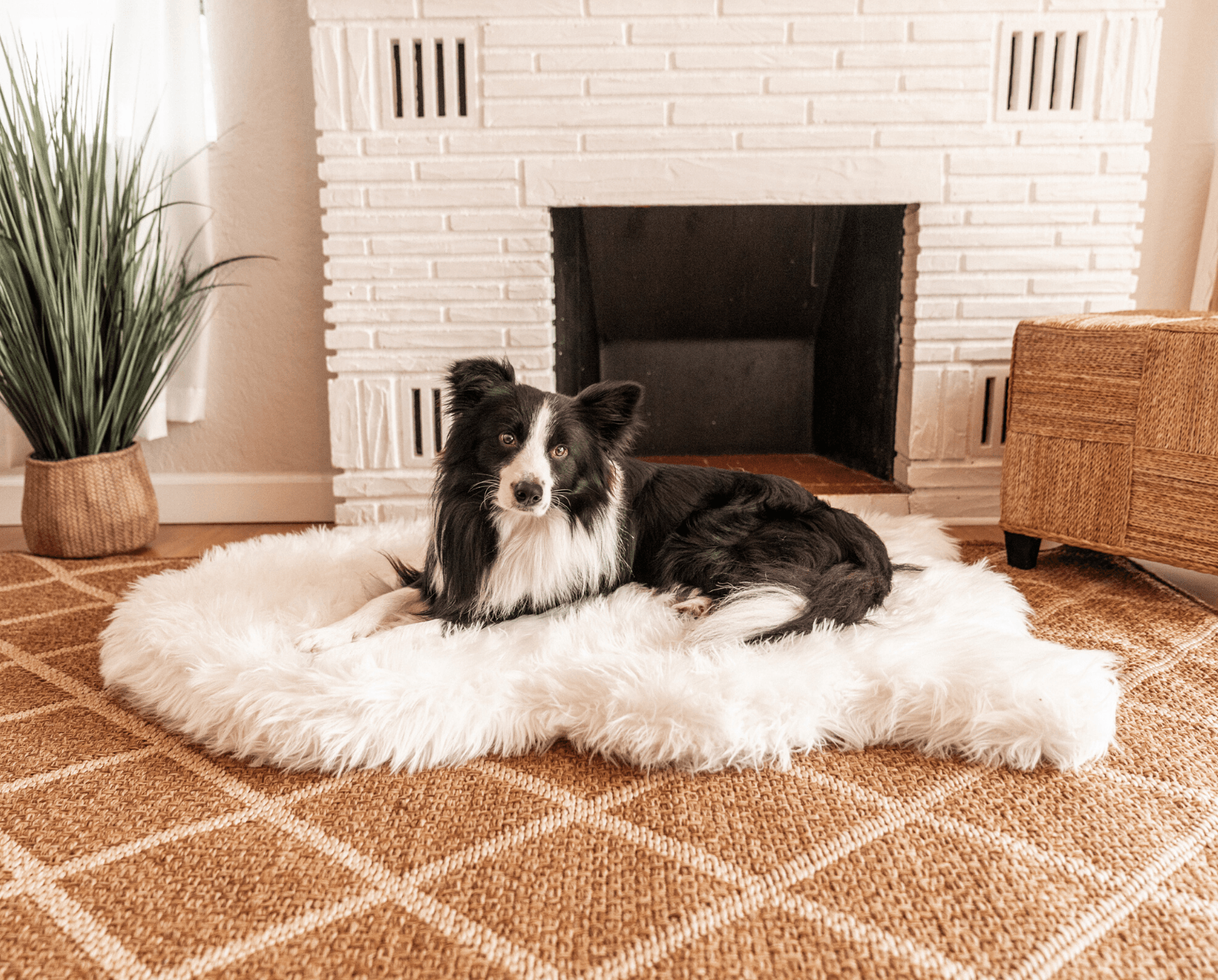 PupRug Curve Faux Fur Orthopedic Dog Bed, Polar White, photo 3