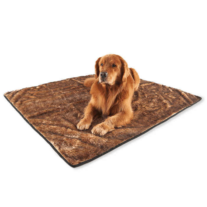 Manta impermeable PupProtector Summer de pelo corto, canela sable, foto 7