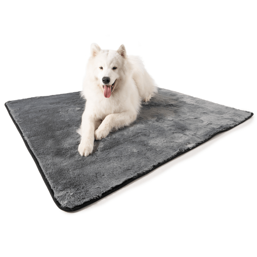 PupProtector Summer Short Fur Waterproof Throw Blanket, Charcoal Grey
