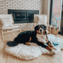 PupRug Curve Faux Fur Orthopedic Dog Bed, Polar White, photo 4