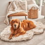 PupRug Curve Faux Fur Orthopedic Dog Bed, White with Brown Accents, photo 9