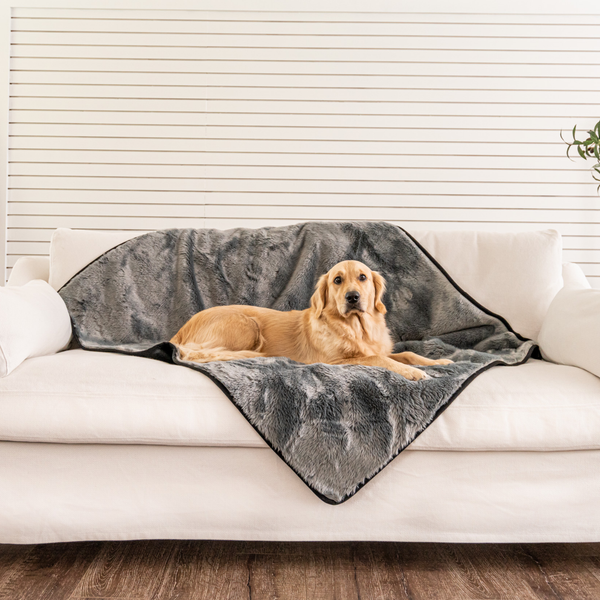 PupProtector Summer Short Fur Waterproof Throw Blanket, Charcoal Grey, photo 2
