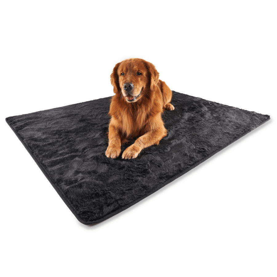 PupProtector Summer Short Fur Waterproof Throw Blanket, Midnight Black